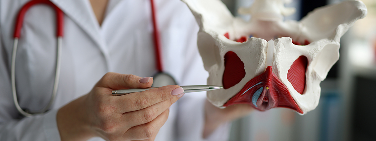 Pelvic Lymph Nodes Dissection - Services - Hope & Heal Cancer Hospital and Research Center