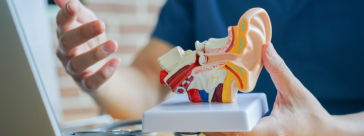 Omentectomy & Peritonectomy - Services - Hope & Heal Cancer Hospital and Research Center